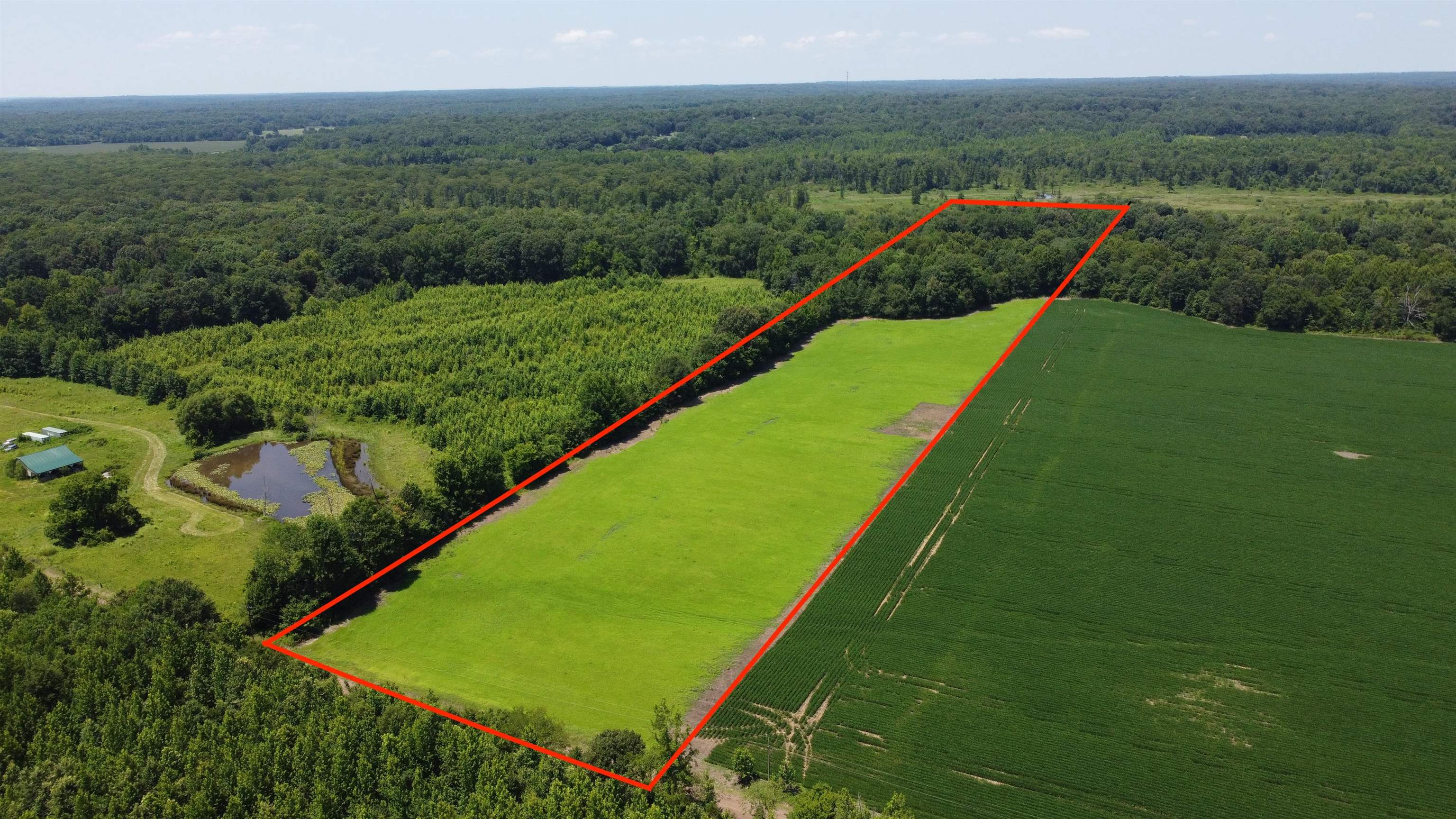 20-acres Liberty Road Moscow, TN 38057 - Photo 1 of 9