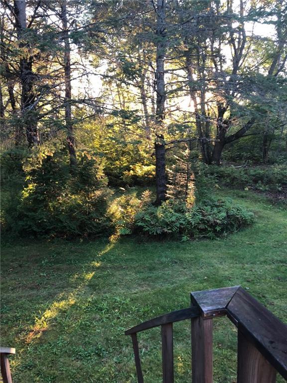376 Lamb Farm Road Baileyville, ME 04694 - Photo 8 of 15 Yard from porch