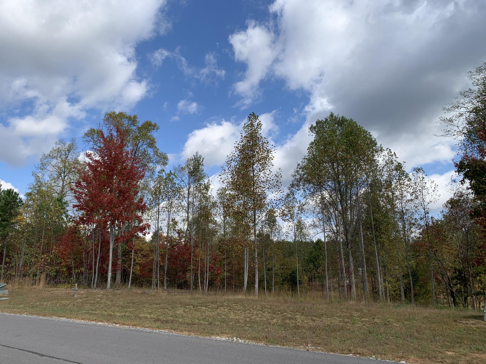260 Cherokee Path Jasper, TN 37347 - Photo 12 of 35