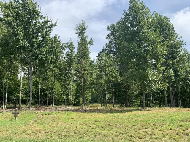 $100,000 | 260 Cherokee Path, Jasper, TN 37347