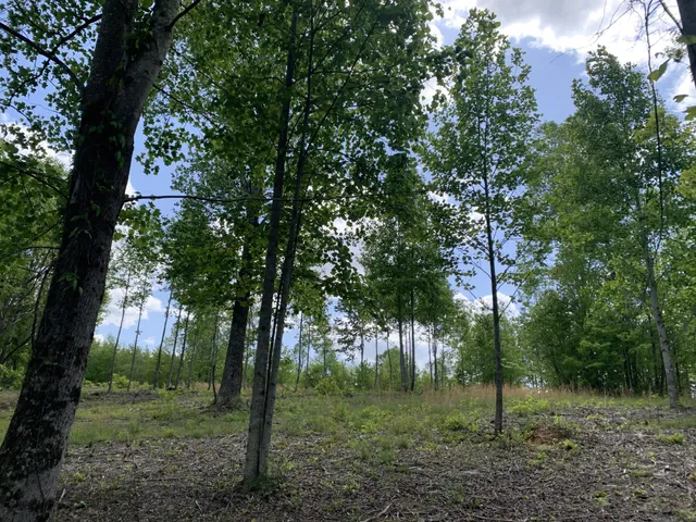 $100,000 | 260 Cherokee Path, Jasper, TN 37347