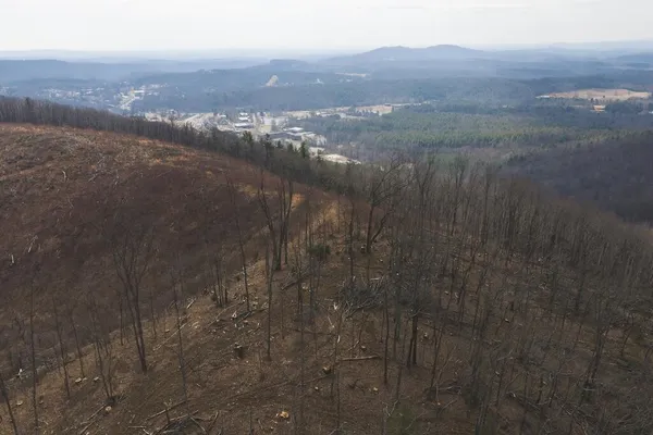a view of a dry yard