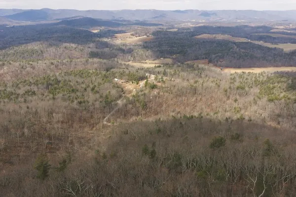 a view of a dry yard