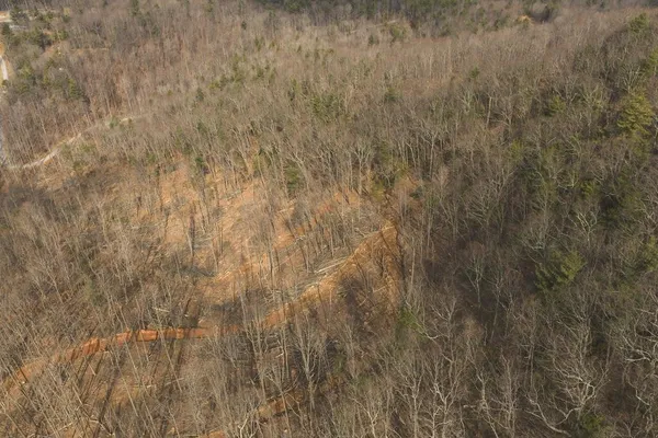 a view of a pathway with a building in the background
