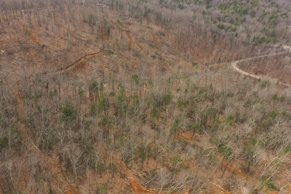 a close view of cupboard