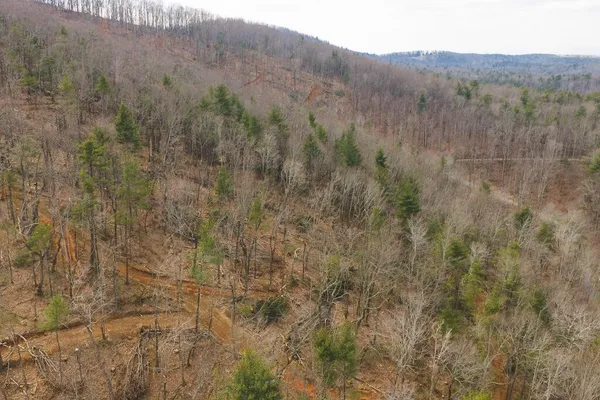 a view of a yard with trees in the background