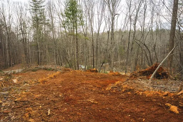 a view of backyard with green space