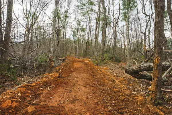 a backyard of a house with lots of trees