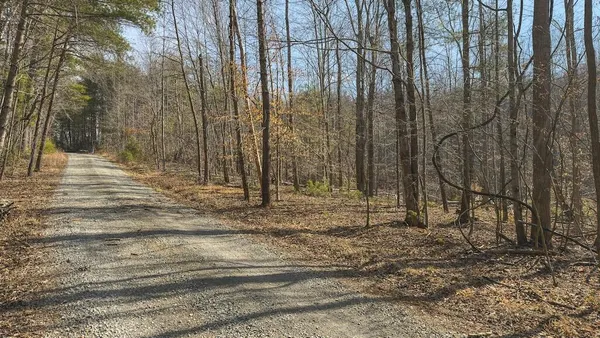 a view of a backyard of the house