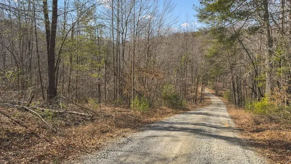a view of outdoor space with plants