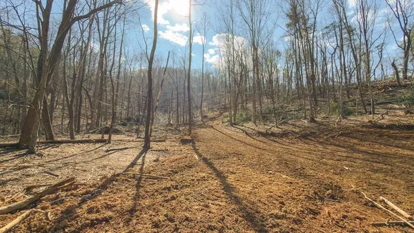 a view of a backyard of the house