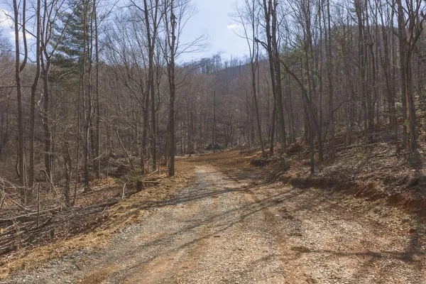 a view of a dry field with trees in the background