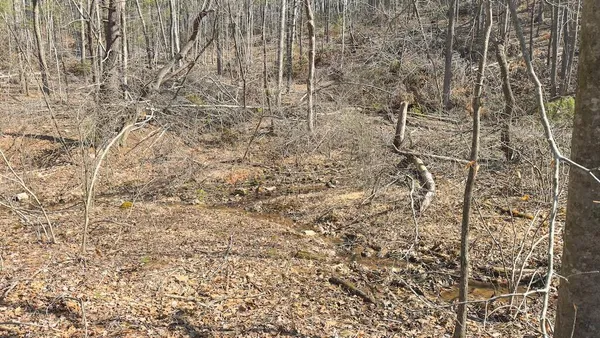 a view of a backyard of the house