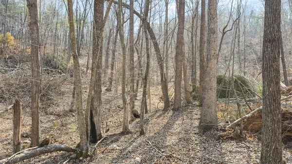 $65,000 | Tbd Ferrum Forest Lane, Ferrum, VA 24088