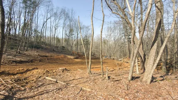 $65,000 | Tbd Ferrum Forest Lane, Ferrum, VA 24088