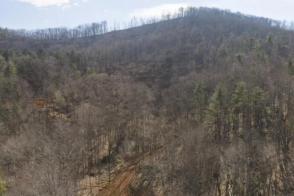 a view of a dry yard