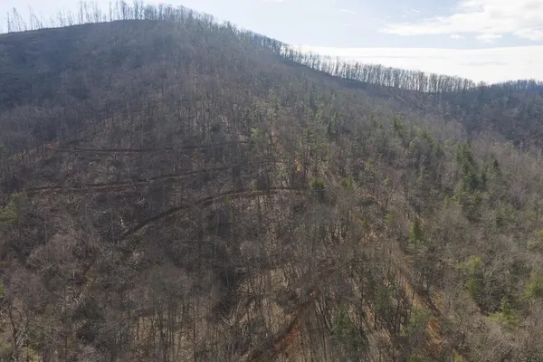 a view of a dry yard