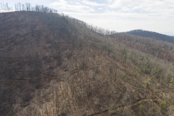 a view of a house with a mountain