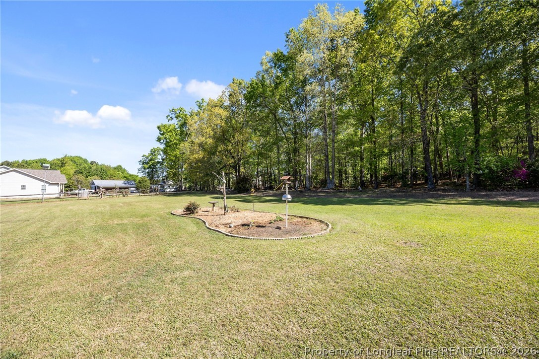 913 Pendergrass Road Sanford, NC 27330 - Photo 35 of 50