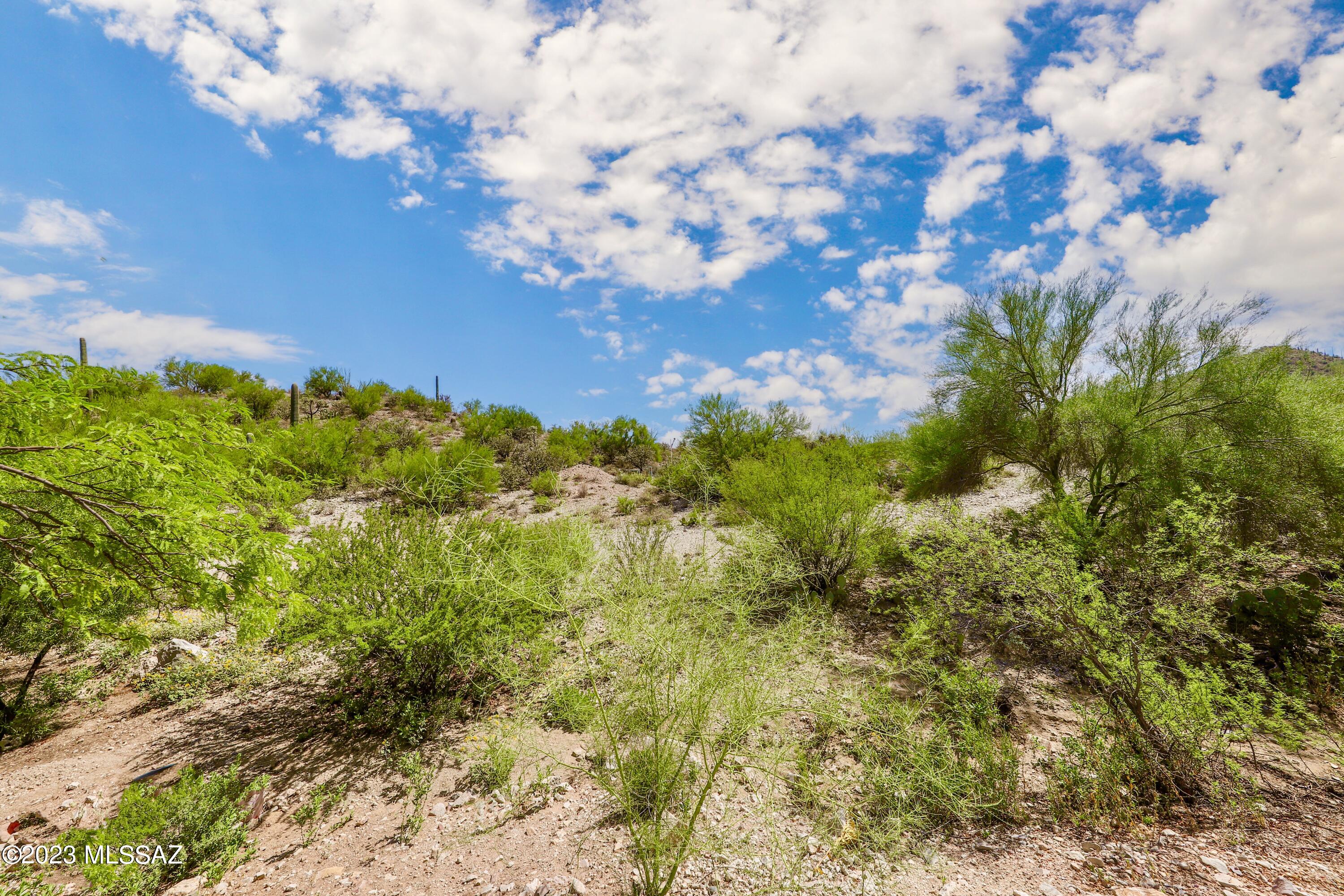 773 South Saguaro Ridge Place Tucson, AZ 85745 - Photo 21 of 24