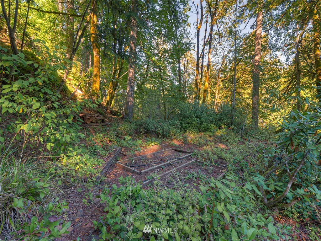 2206 Rimrock Court Southwest Olympia, WA 98512 - Photo 22 of 35 Gallery Image 22