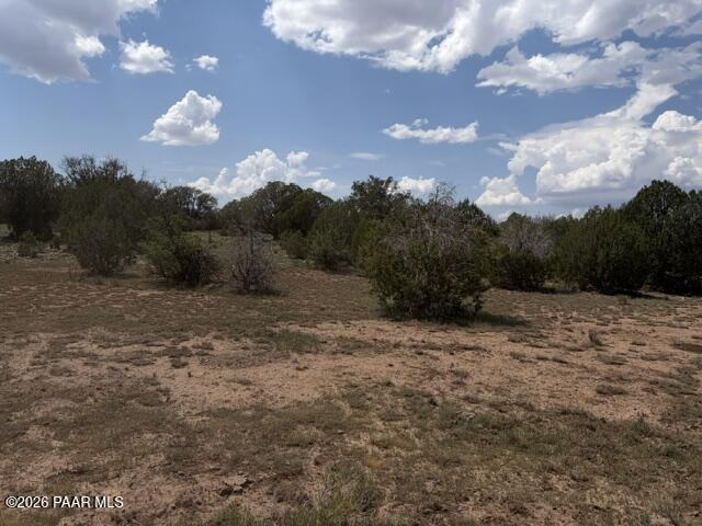 0 X-One Ranch Road Seligman, AZ 86337 - Photo 4 of 18 IMG_1751