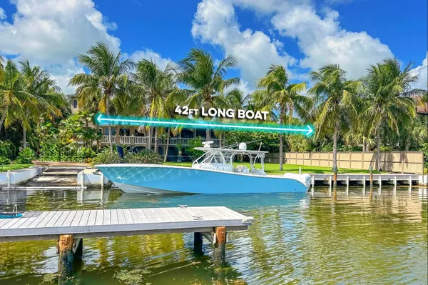 a view of a yard with a large trees