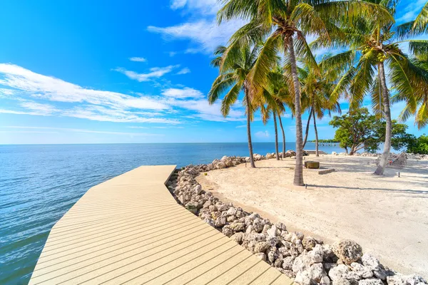 a view of swimming pool with outdoor space and trees