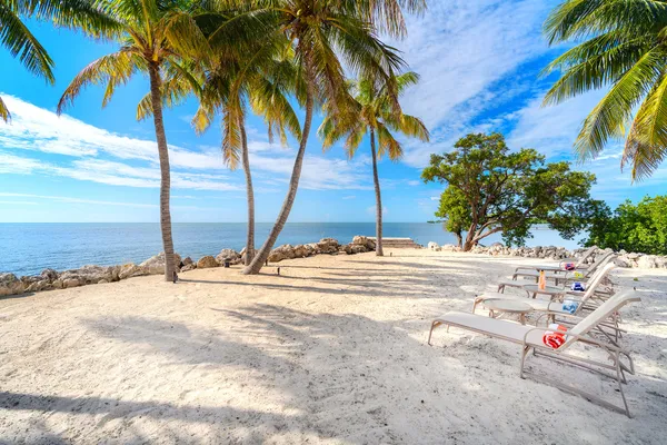 a view of a garden with a house