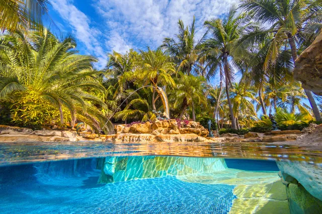 a kitchen with stainless steel appliances kitchen island granite countertop a sink and cabinets