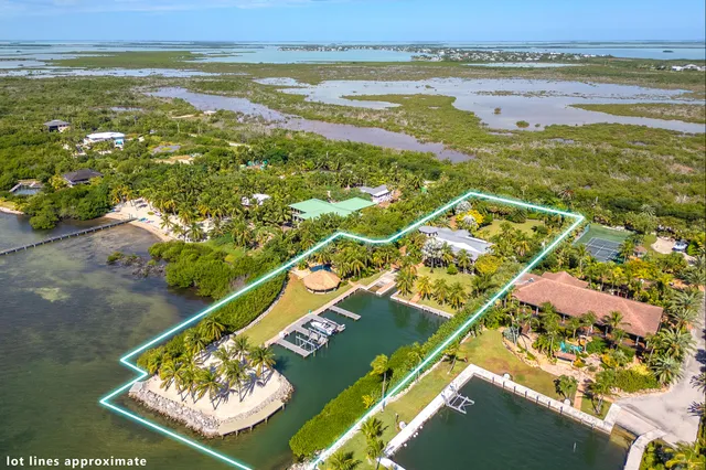 an aerial view of a residential houses with outdoor space and swimming pool