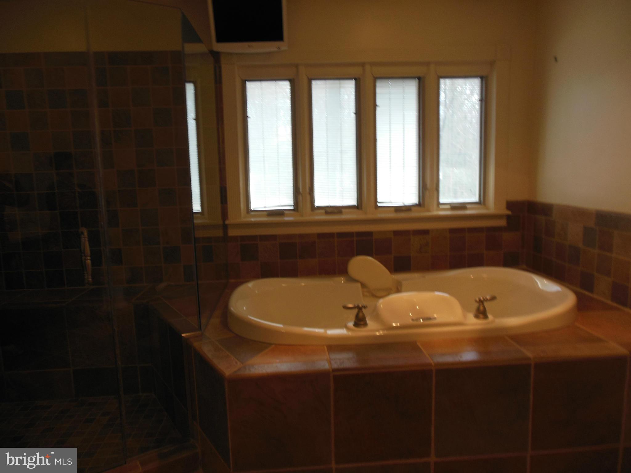 8350 Pinehurst Road Pasadena, MD 21122 - Photo 25 of 30 Bath (Master)