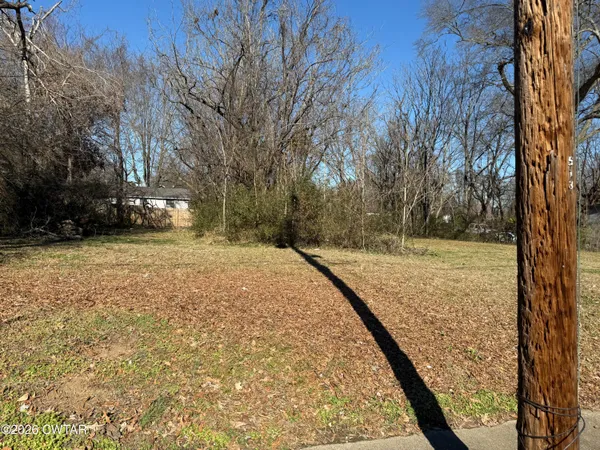 a view of a yard with trees