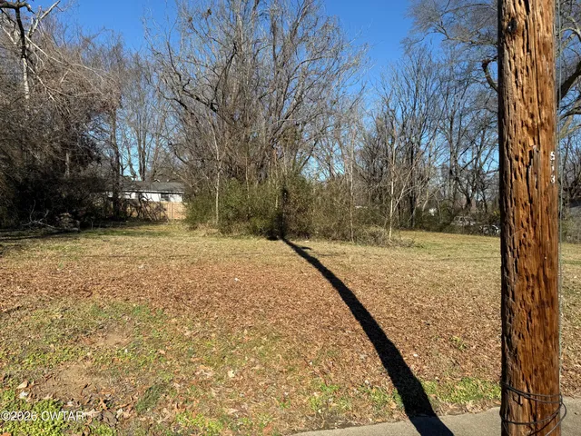 a view of a yard with trees