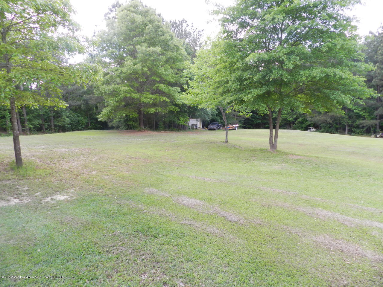 38 Snow Lake Road Jasper, AL 35503 - Photo 23 of 27 Gallery Image 23