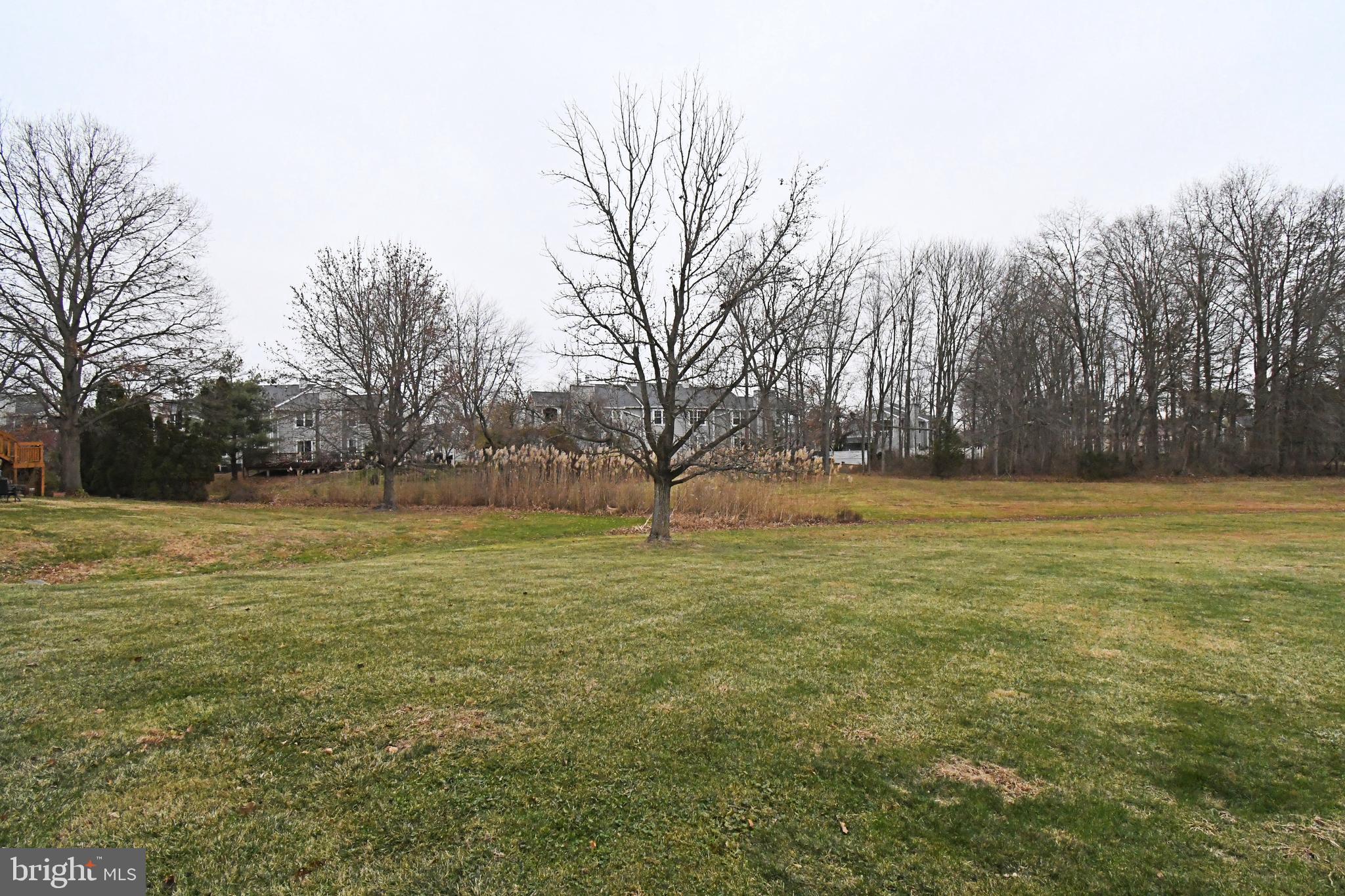 592 A Wrensong Road, Unit A Yardley, PA 19067 - Photo 26 of 36 a view of yard with trees
