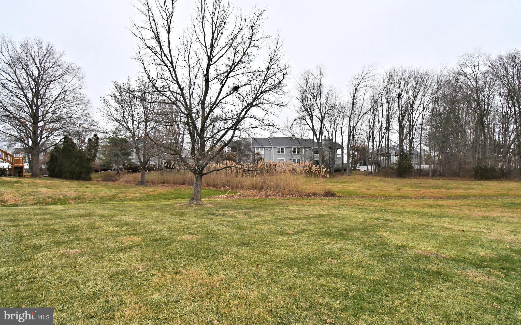 592 A Wrensong Road, Unit A Yardley, PA 19067 - Photo 28 of 36 a view of yard with trees