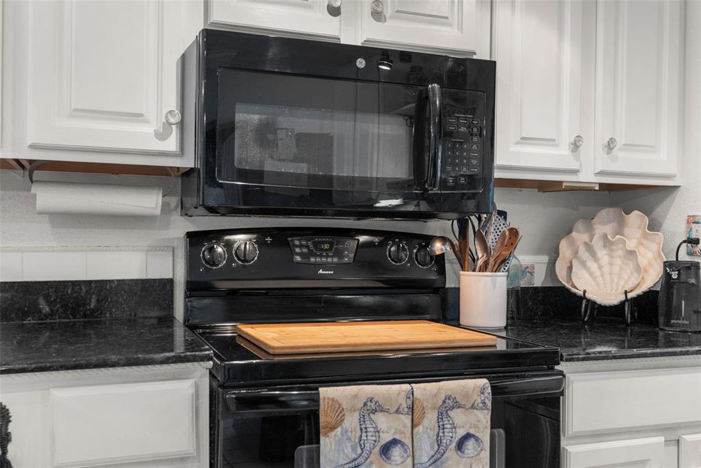 3178 Sea Grape Drive Hernando Beach, FL 34607 - Photo 15 of 59