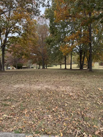 a view of a yard with a tree