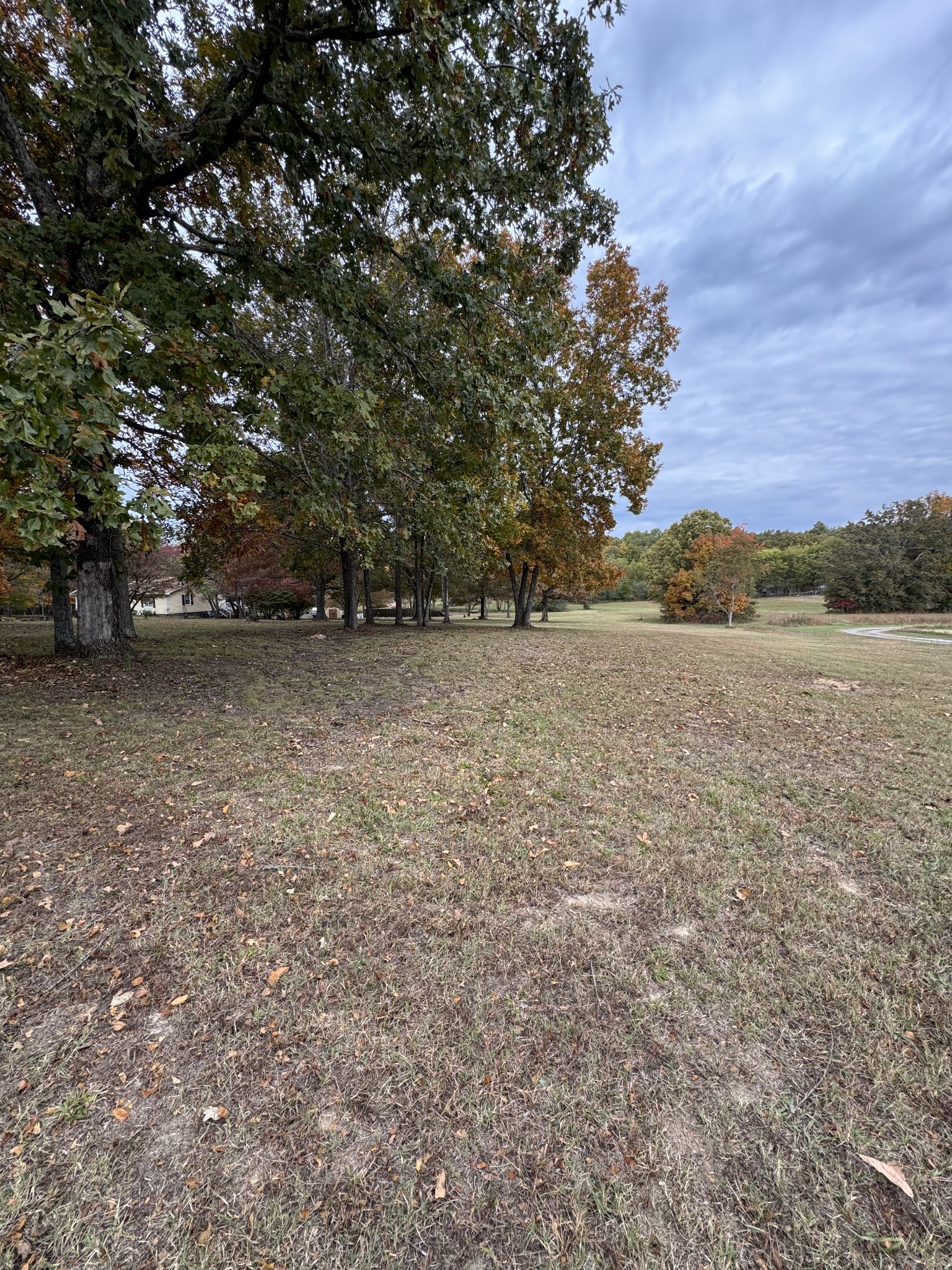 7204 Sweetbriar Lane Fairview, TN 37062 - Photo 3 of 6 a view of an outdoor space and a yard