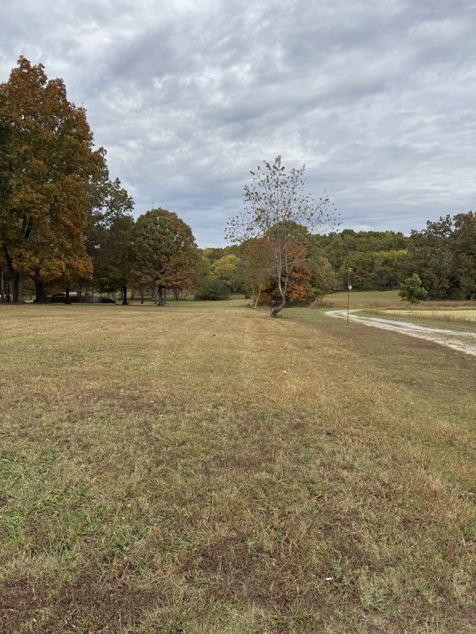 7204 Sweetbriar Lane Fairview, TN 37062 - Photo 5 of 6 a view of an lake and mountain