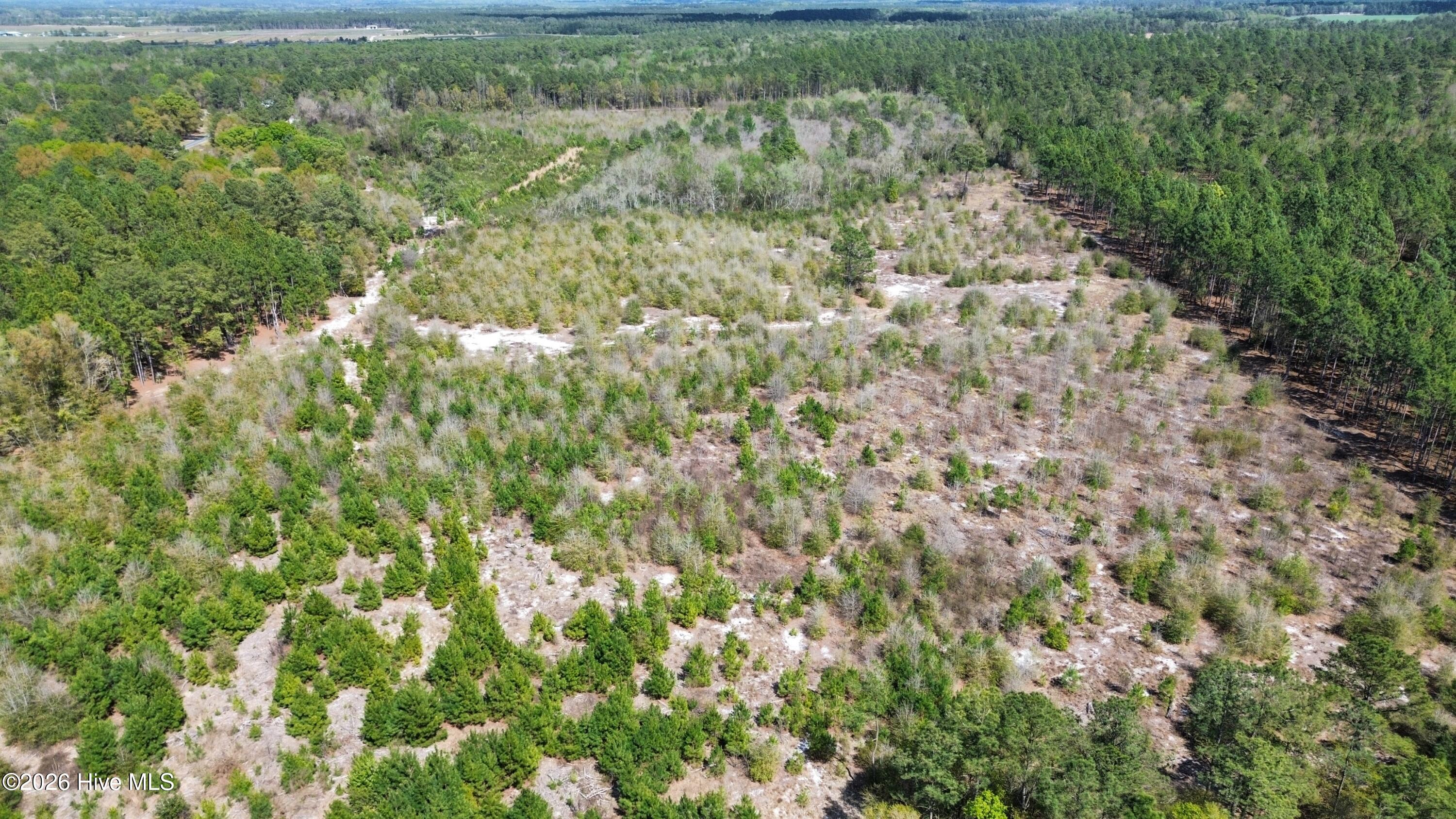 0 Wilbur Pridgen Road Harrells, NC 28444 - Photo 1 of 7 dji_fly_20260401_143304_20_1775096098815