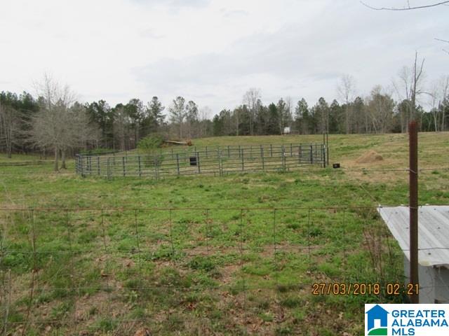 455 Francis Mill Road Ohatchee, AL 36271 - Photo 46 of 49