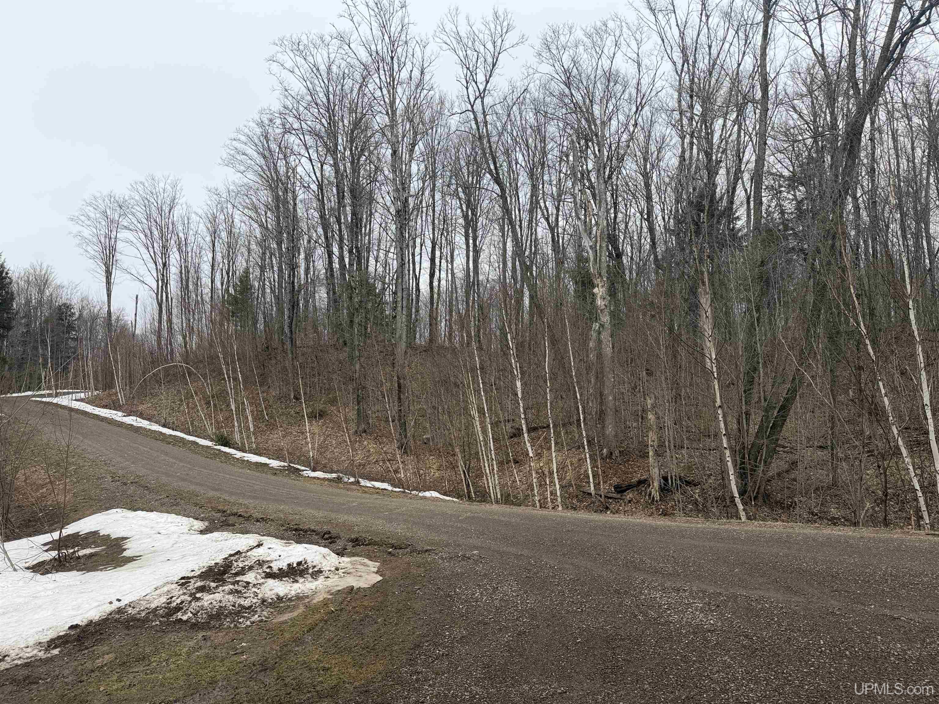 18 Chaney Lake Road Wakefield, MI 49968 - Photo 27 of 37
