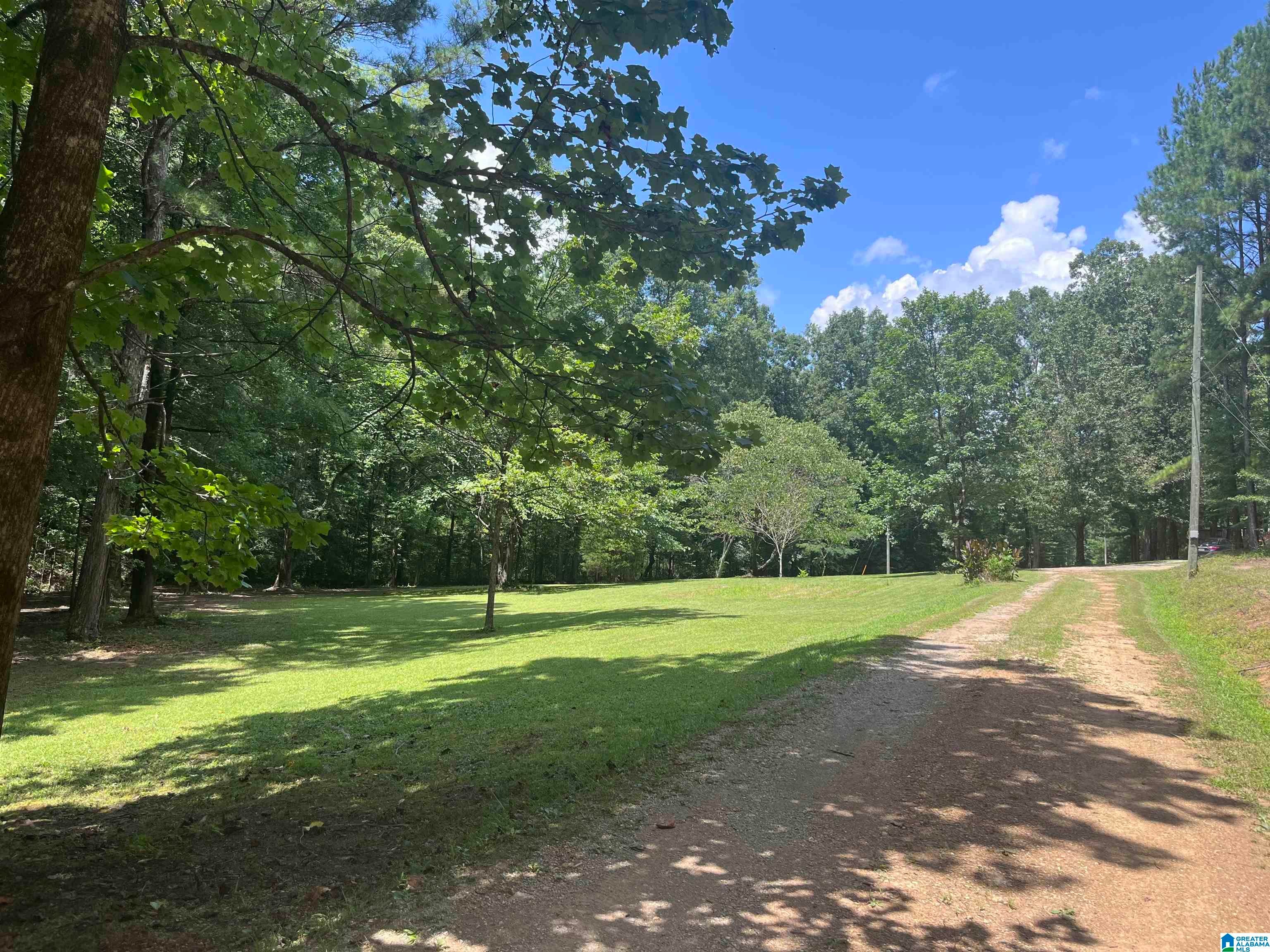 276 George Headley Road Locust Fork, AL 35097 - Photo 31 of 33 Gallery Image 31