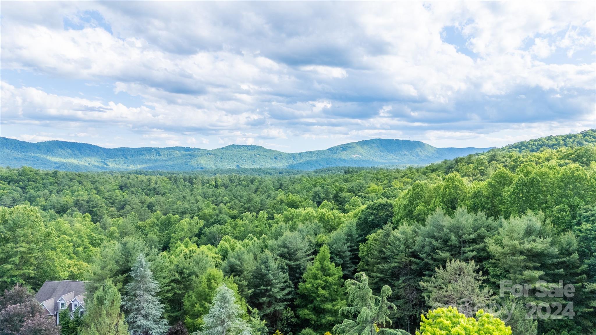 0 South Ridge Drive, Unit 61/62 Hendersonville, NC 28739 - Photo 1 of 17 a view of a bunch of trees and bushes