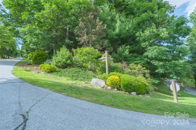 a view of a yard with plants and large trees