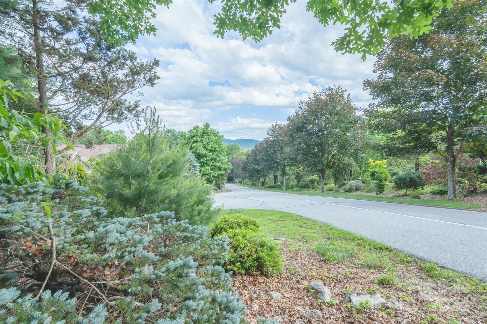 0 South Ridge Drive, Unit 61/62 Hendersonville, NC 28739 - Photo 13 of 17 a view of a yard with plants and large trees