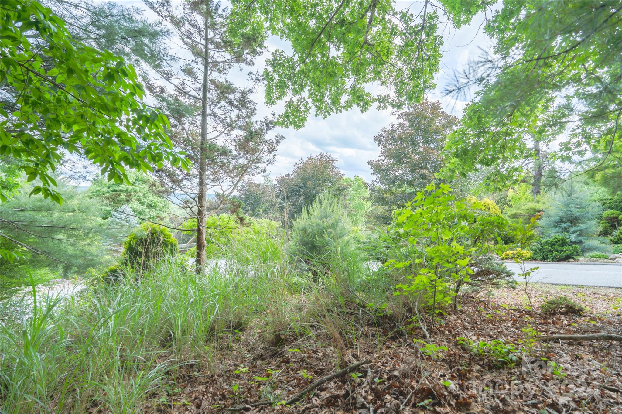 0 South Ridge Drive, Unit 61/62 Hendersonville, NC 28739 - Photo 15 of 17 a view of a yard with plants and a large tree