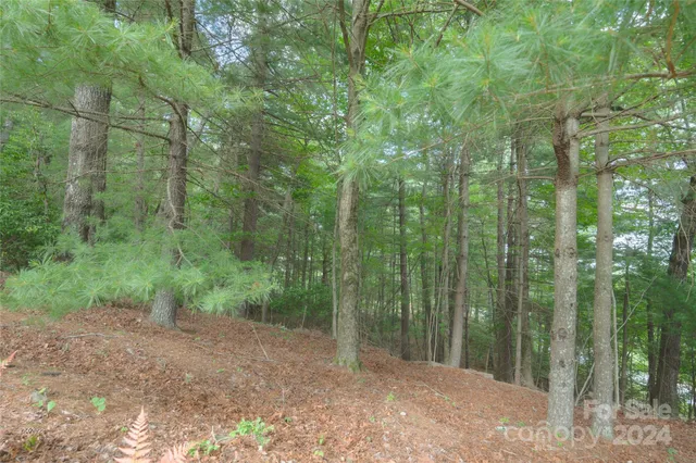 a view of a garden with an outdoor space